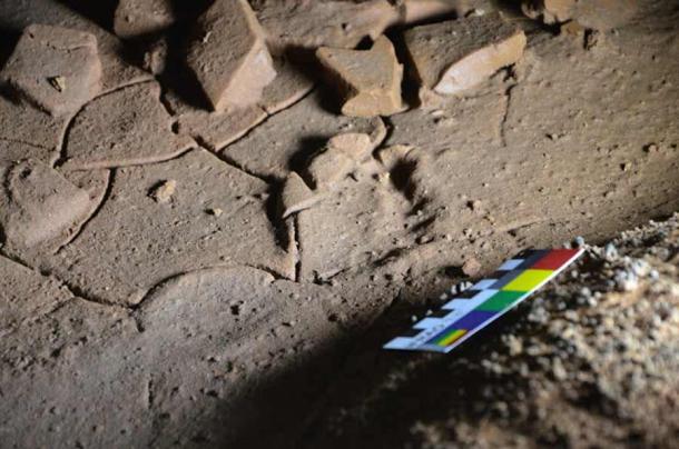 Paleolithic Age Footprints of Children Discovered in La Garma Cave