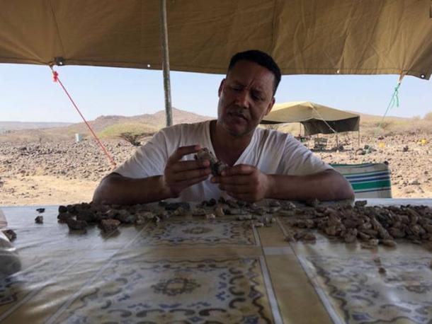 Professor Zeresenay Alemseged sifts through unidentified fossil fragments in the field