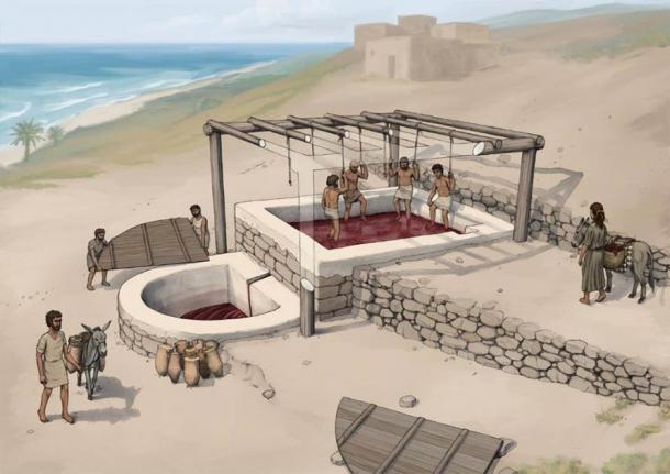 Reconstruction of the wine press at Tell el-Burak, looking from the south-east. Source: Tell el-Burak Archaeological Project; drawing by O.Bruderer; Antiquity
