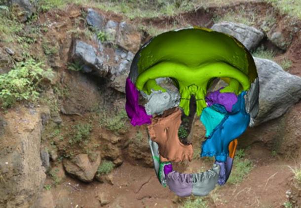300,000-year-old fossils of as many as 16 individual human ancestors have been found in a collapsed cave in China. Here is a reconstruction of a skull found at the site. Source: Wu Xiujie and Erik Trinkaus