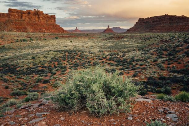 Valley of the Gods, Bears Ear National Monument, Utah, where the Pueblo peoples practiced a form of sustainable agriculture long ago. The plants they planted are now being used as a clue for finding other possible archaeological artifacts nearby.