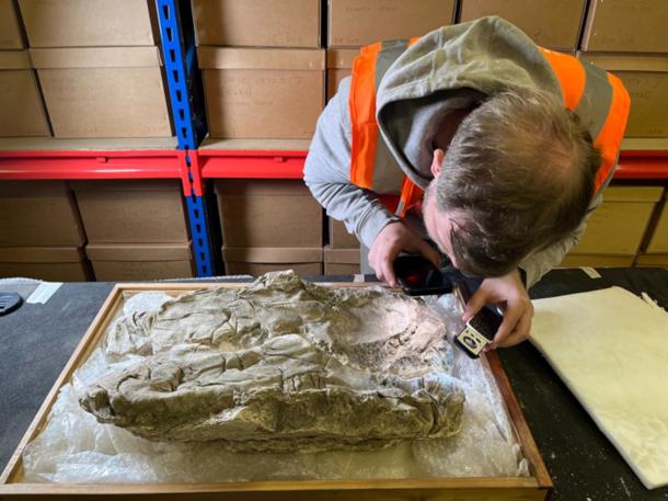 Researcher examining the Roman gypsum burial at the Yorkshire Museum