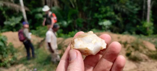 Stone tool recovered at the site of B&eacute;t&eacute; I, C&ocirc;te d&rsquo;Ivoire.