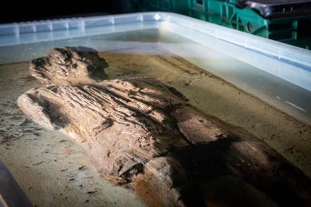 The Roman era wooden statue found at the Twyford Buckinghamshire HS2 rail project dig site in England submerged for cleaning. Source: HS2