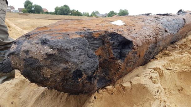 Close up one of the four oak wood piles found in the Meuse River, near Dreumel, Gelderland Province, The Netherlands