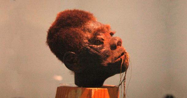 Jivaro's Macabre Mastery: The Enigmatic Shrunken Heads of Jivaro