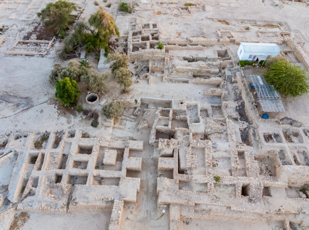 Seeds of Trade: Seed Origins Rewrite the Story of Trade Among Ancient Kingdoms