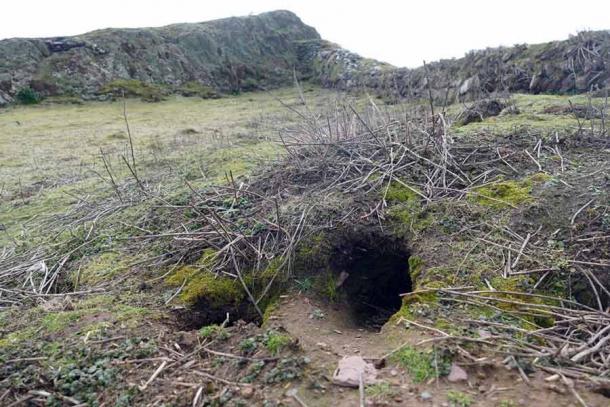 The rabbit hole which produced the prehistoric finds on Skokholm Island. Source: Richard Brown and Giselle Eagle, WTSWW / Royal Commission RCAHMW).