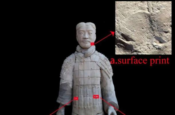 Terracotta figurine and one of the fingerprints on it. 