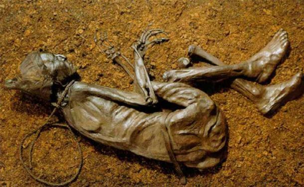 Discovered in 1950, the Tollund Man is on display at the Silkeborg Museum in Denmark. Source: Chocho8 / CC BY-SA 4.0