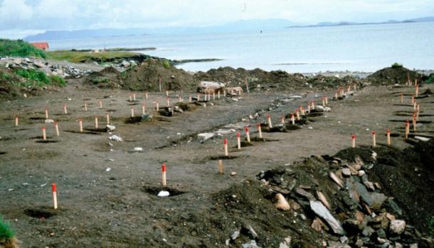 Pegs marking the post holes of two large boathouses on Rennes&oslash;y, north of Stavanger. 