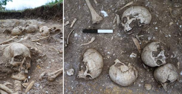 Skeletal remains in the Viking burial pit found at Wandlebury, Cambridgeshire, UK.