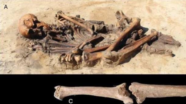 Adult male skeleton recovered from ancient Scandinavian home.