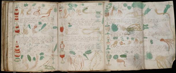 The Voynich Manuscript is open to the public to attempt translation
