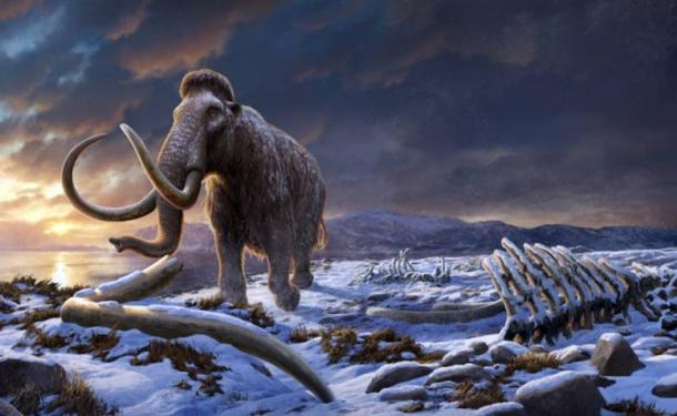 Scientists Create Highly Detailed 3D Model of Extinct Woolly Mammoth DNA