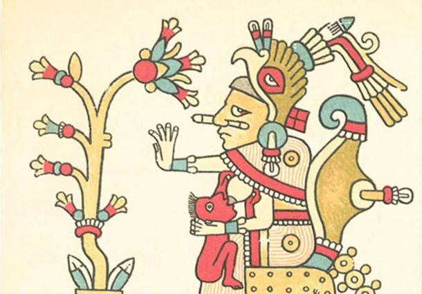 Xochiquetzal, with flower (Codex Fejérváry-Mayer, page 29)