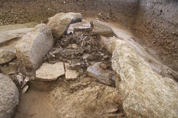 Neolithic DNA Reveals Surprising Truth of the Yamnaya Culture in Europe