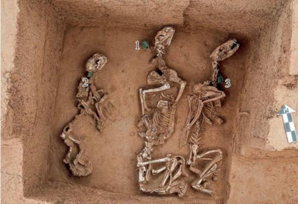 A sacrificial pit photo shows bronze bells marked among animal remains at Yinxu