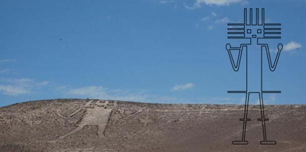 The Puzzling Case of the Atacama Giant