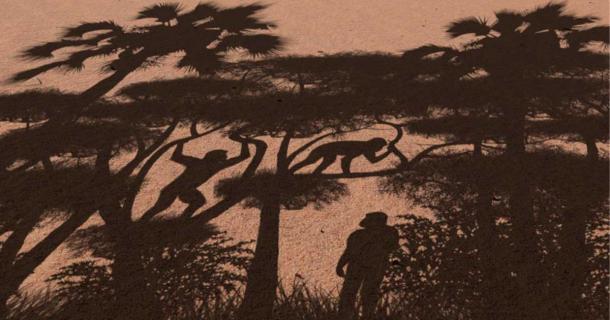 Representation of the modes of locomotion practiced by Sahelanthropus in Chad, Africa 7 million years ago, which is one million years earlier than current biped origins. (Sabine Riffaut, Guillaume Daver, Franck Guy / PALEVOPRIM / CNRS – University of Poitiers)