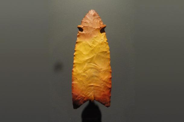 A fluted Clovis stone spear point in yellow and red chert, shown point upwards against a dark grey museum background