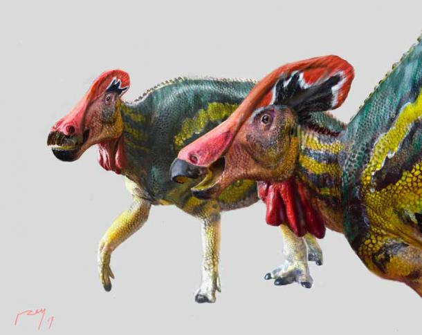 Dinosaur in Mexico: New “Talking” Species Used Low Frequency Sounds