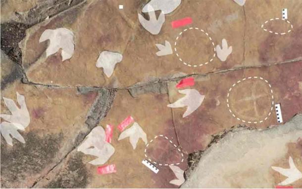 Dinosaur tracks in highlight and petroglyphs circled by dashed lines. Source: Troiano, et al., Scientific Reports 2024