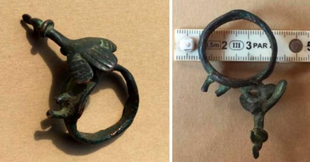 The supposed giants ring, with condor decoration. Source: Courtesy of Celso García Vargas / Author supplied