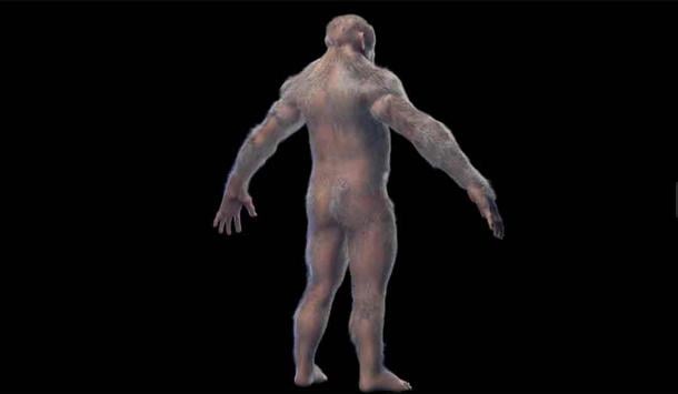 3d illustration of Australopithecus afarensis male. Source: Sebastian Kaulitzki/Adobe Stock