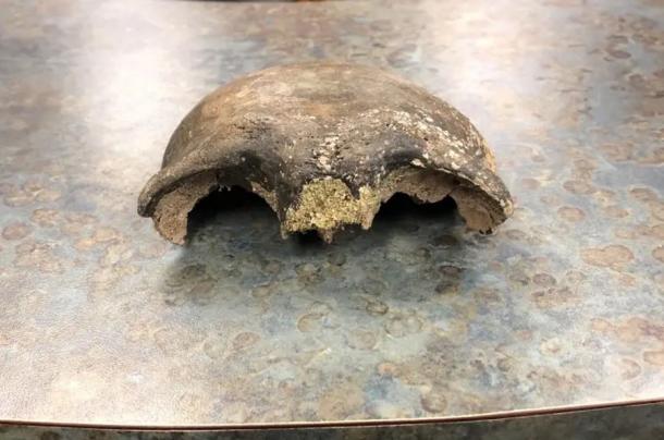Human skull discovered in Minnesota River in September is believed to be about 8,000 years old. Source: Renville County Sheriff's Office