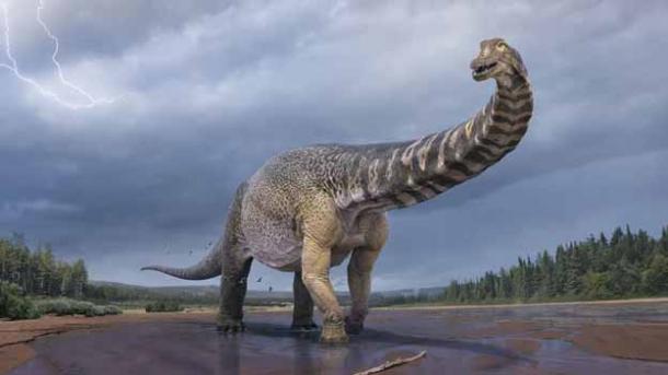 Australia’s Largest Dinosaur Revealed To Be As Long As A Basketball Court!