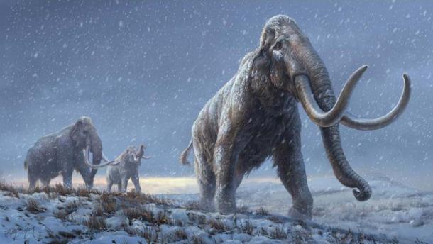 Mammoth DNA Breaks Record for World’s Oldest Sequence
