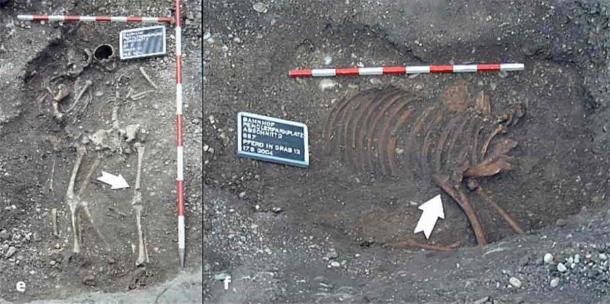Mistaken for Lovers, Roman-Era Grave Holds Mother and Daughter (and Horse…)