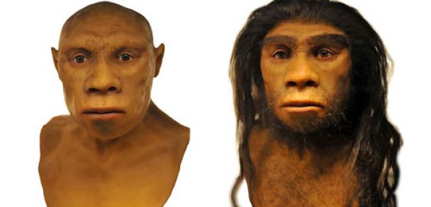 Theories about Neanderthals May Need to be Revised | Ancient Origins