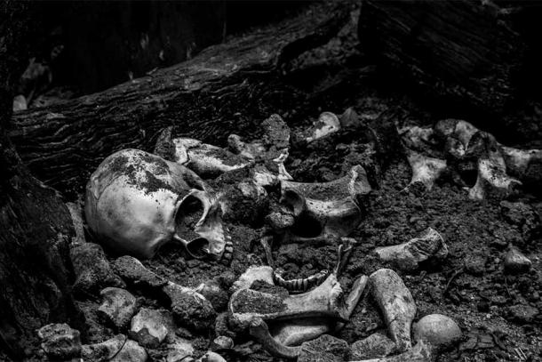 Human skeletal remains (representational image). Source: Thanakrit / Adobe Stock