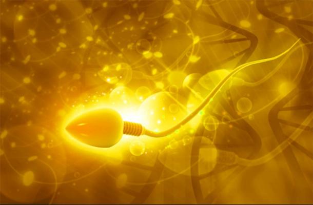 Scientists have found the world’s oldest sperm cells. Source: bluebay2014 /Adobe Stock