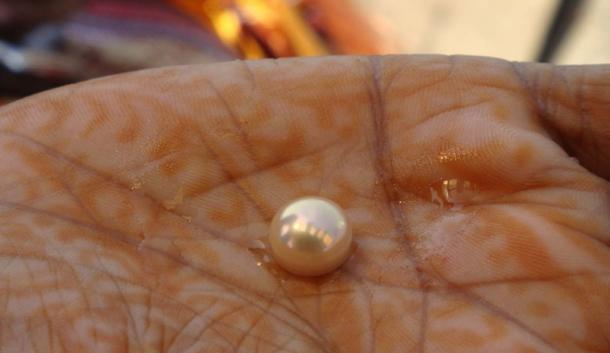 The world’s oldest pearl has been discovered at Marawah Island, United Arab Emirates. Source: Arundhati Chaudhuri / CC BY-SA 2.0.