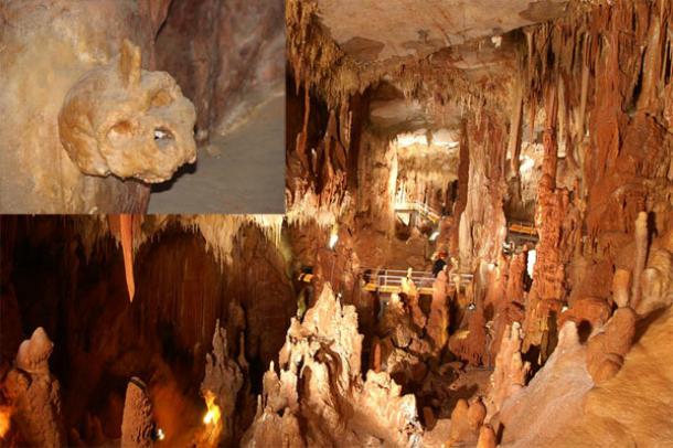 The human skull that challenges the Out of Africa theory