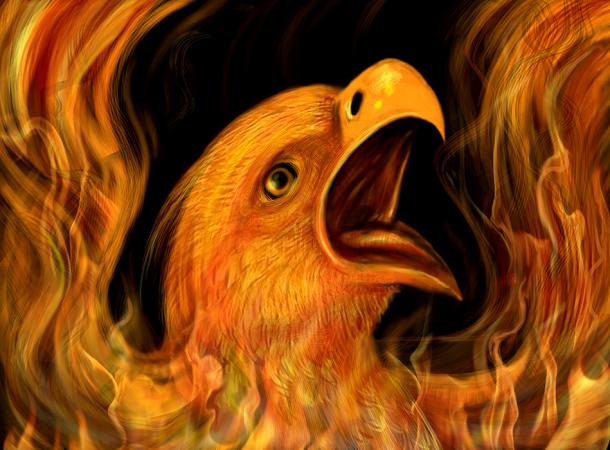 Phoenix bird