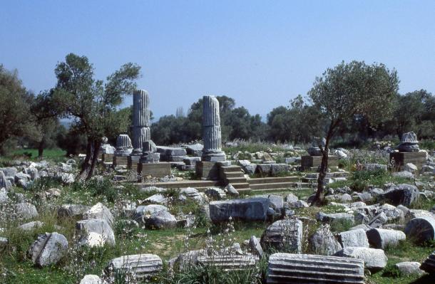 The ruined columns and platform of the Temple of Dionysos at Teos seen from the west