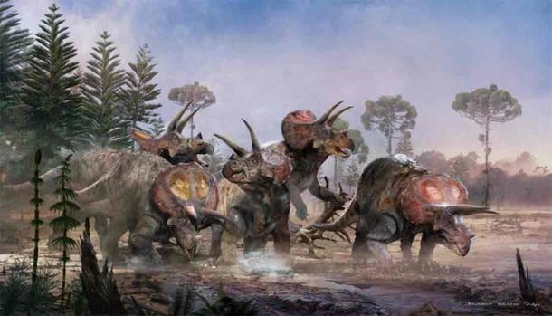 A heard of Triceratops horridus walking through a Cretaceous swamp. Source: Bart Bus/Naturalis Biodiversity Center