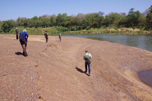 Team fieldwalking along the Gambia River, Senegal. (Eleanor Scerri / Max-Plank Institute)