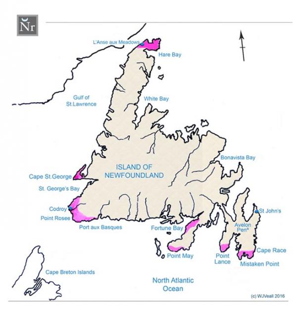 FIGURE 1:  Map of the Island of Newfoundland recording how satellite scanning revealed inscriptive material and imagery suggesting Viking activity having taken place in more than just one center. 