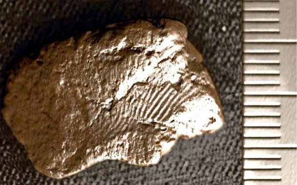 La huella dactilar neolítica de un antiguo artista o asistente de cerámica de las Orcadas en un fragmento de cerámica recuperado del sitio de excavación de Ness of Brodgar en las Orcadas. (Jan Blatchford / El Ness de Brodgar)