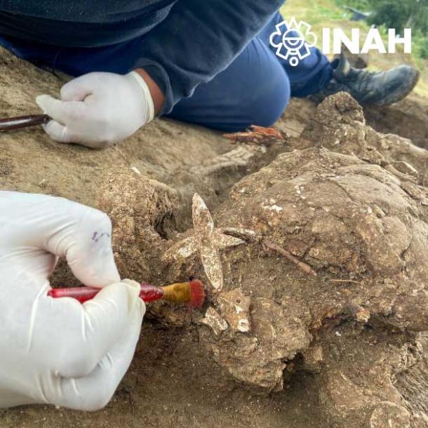 A flower shaped ornament created by carving shell adorns these human remains.  (INAH)