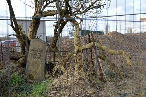 Stone that marked the former site of the Netherton Cross.