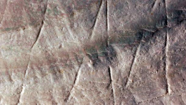 Detail of the engraving on a fossilized Pseudodon shell from the Trinil site in Indonesia