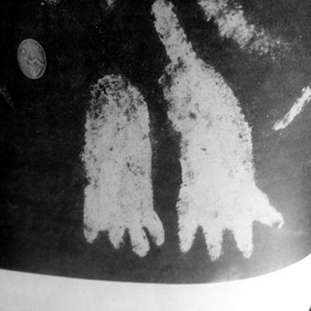 The four-toed footprints etched onto the surface of the Cochno Stone. 