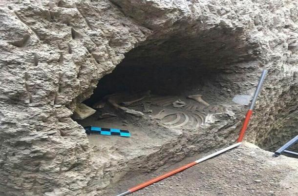 The remains of the four-year-old horse as they were found at Tepe Ashraf. (Tehran Times / CC BY 4.0)