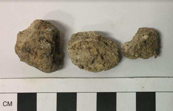 Fragmentos de coprolito humano o muestra de heces de Stonehenge número DW11465 utilizada en el estudio. (Lisa-Marie Shillito / Parasitología)